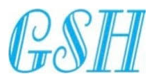GSH Precision Technology