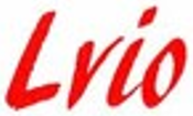 LVIO Precision